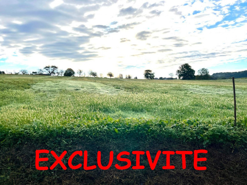 vente Terrain constructible Ramous - Photo 1