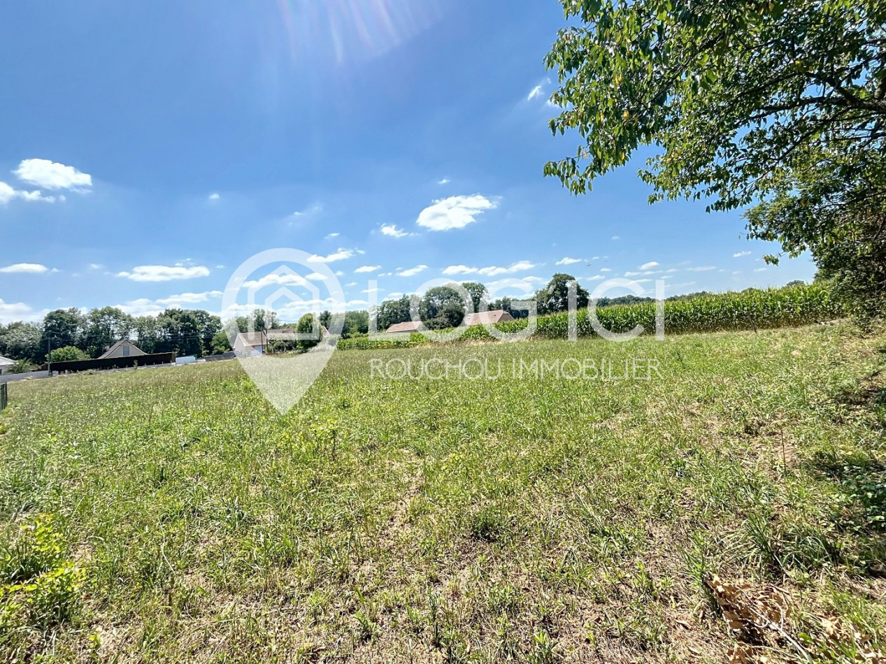 vente Terrain Artigueloutan - Photo 1