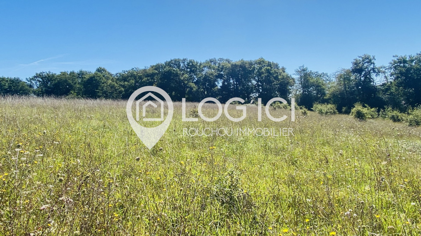 vente Terrain constructible Mazerolles - Photo 5