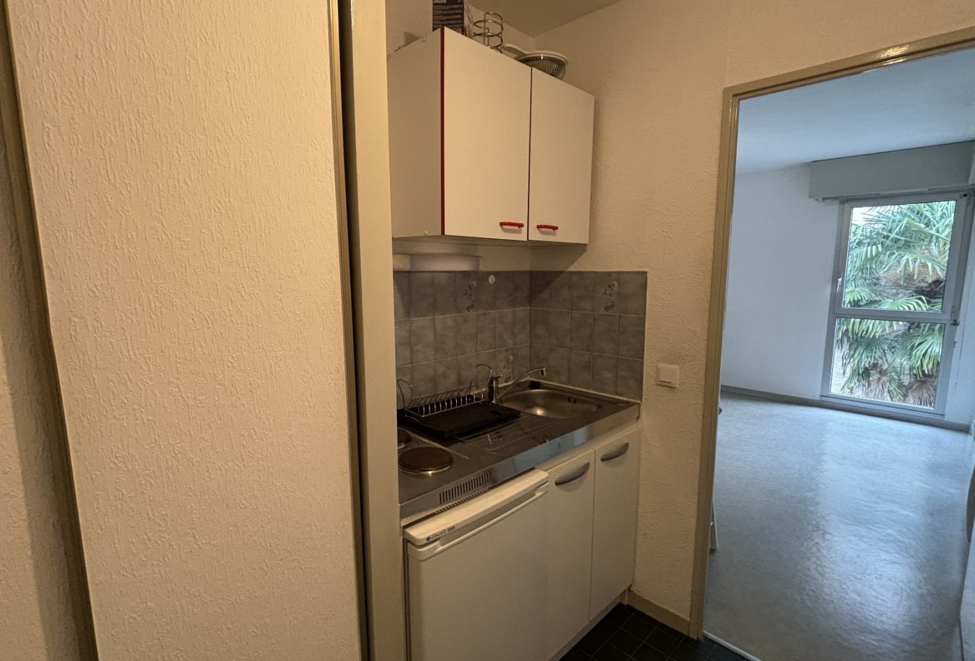location Appartement Pau - Photo 2