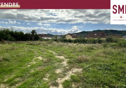 vente Terrain Laroin