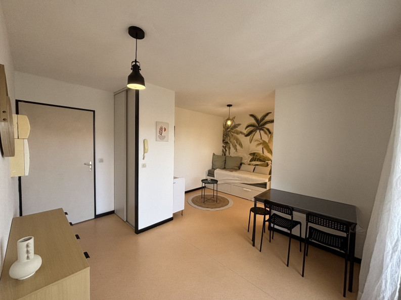 location Appartement Pau - Photo 1