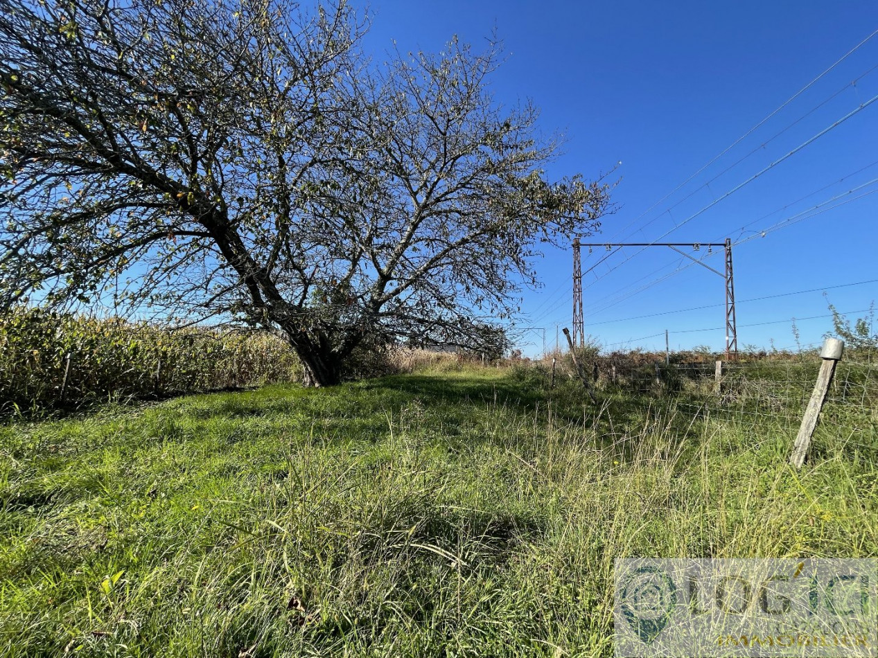 vente Maison Baudreix - Photo 4