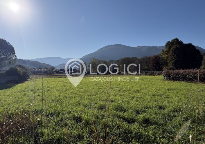 vente Terrain Montaut
