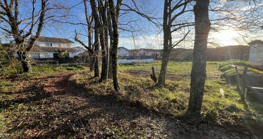 vente Terrain Arbonne