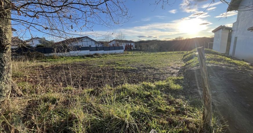 vente Terrain Arbonne