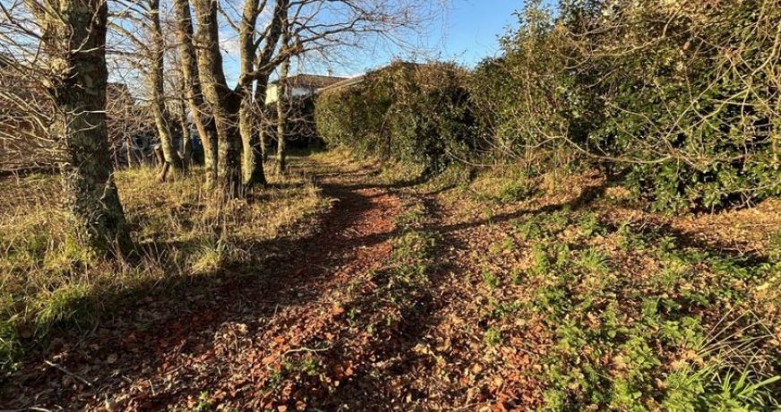 vente Terrain Arbonne