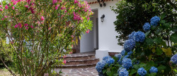 vente Maison Biarritz