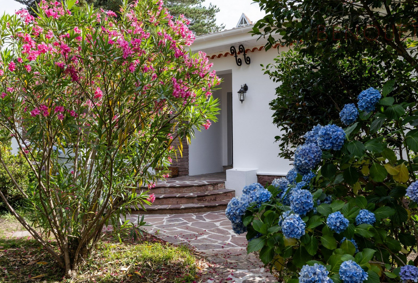 vente Maison Biarritz - Photo 2