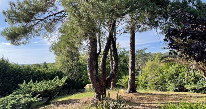 vente Maison Arcangues
