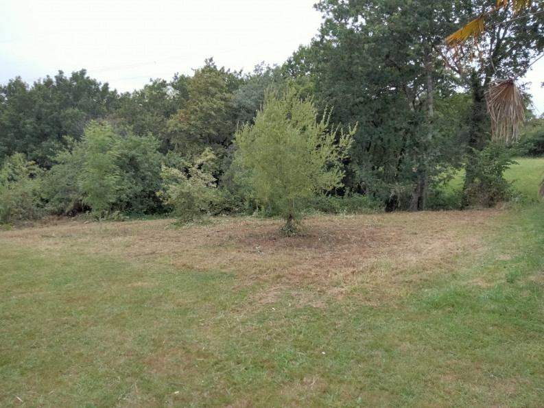 vente Terrain Ascain - Photo 1