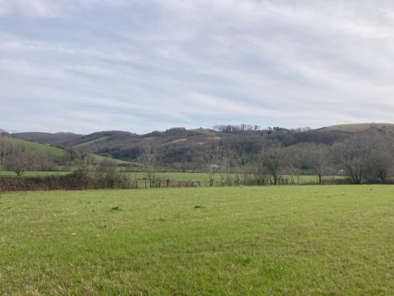 vente Terrain Saint Pee Sur Nivelle - Photo 2