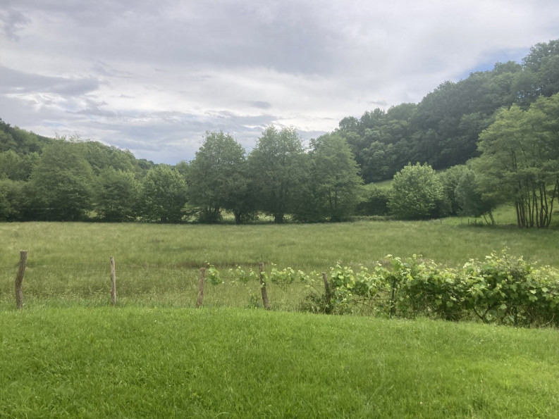 vente Maison Saint Pee Sur Nivelle - Photo 3