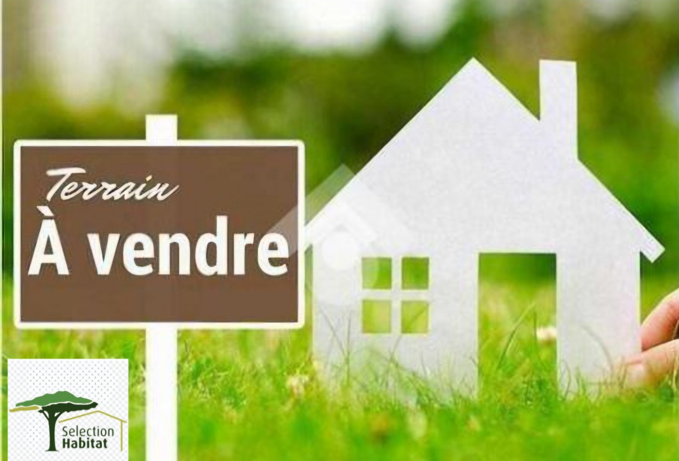 vente Terrain Saint Laurent Des Vignes - Photo 1