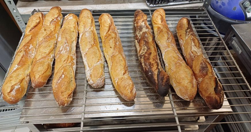 vente Agence Urrugne