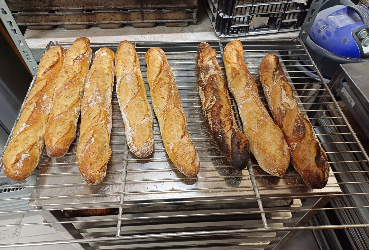 vente Agence Urrugne - Photo 2