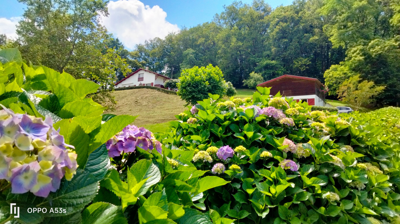 vente Maison Sare - Photo 2