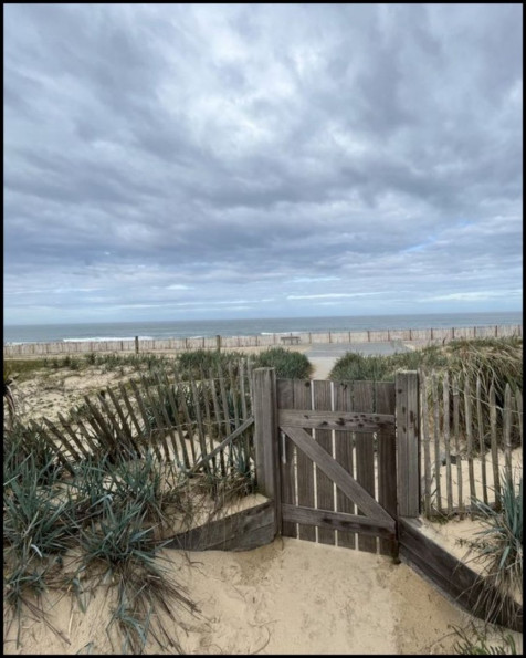 vente Appartement Lacanau Ocean - Photo 1