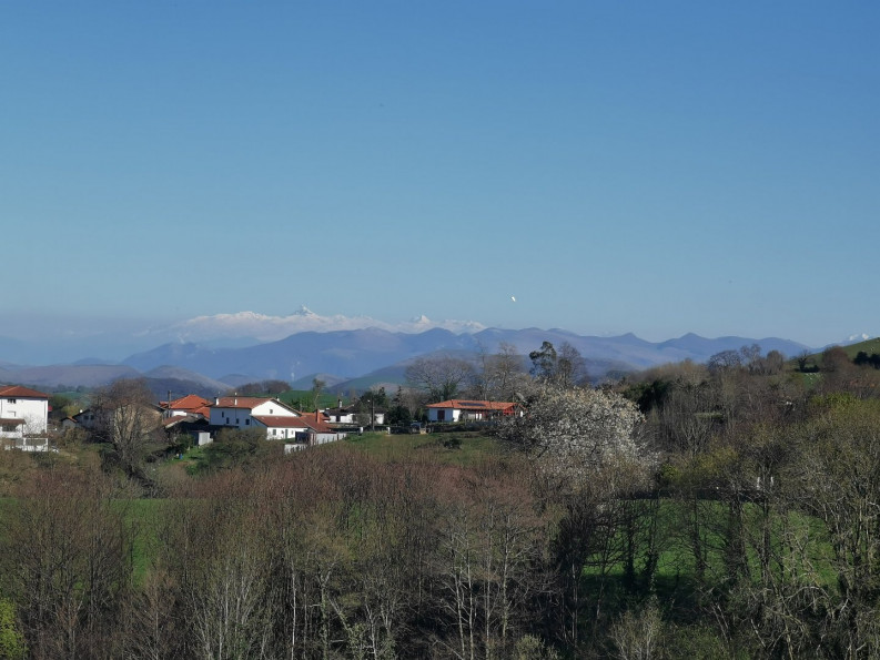 vente Maison Hasparren - Photo 11