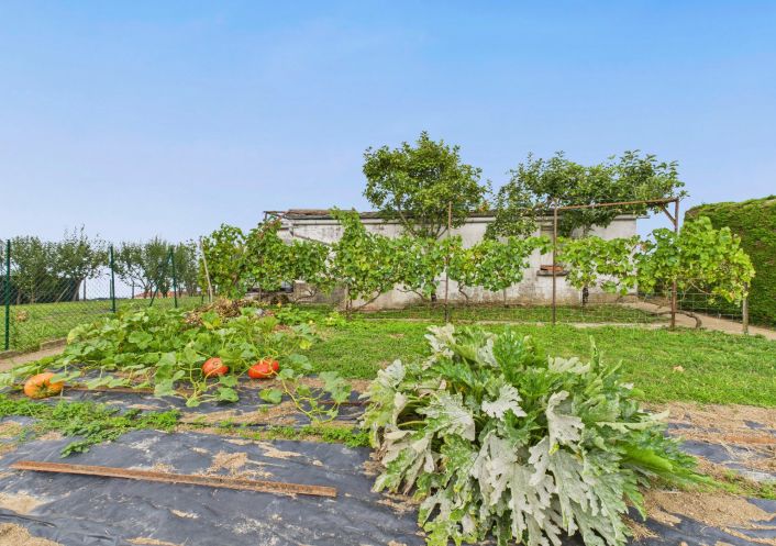 à vendre Maison Hasparren