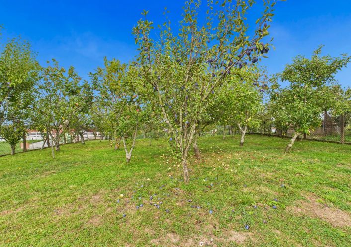 à vendre Maison Hasparren