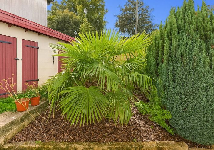 à vendre Appartement Cambo Les Bains