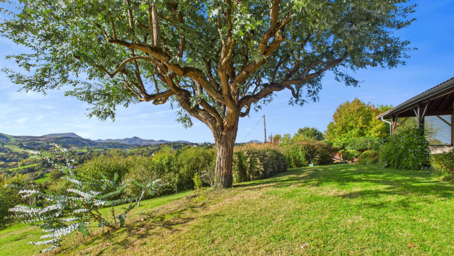 à vendre Maison Hasparren - Photo 1