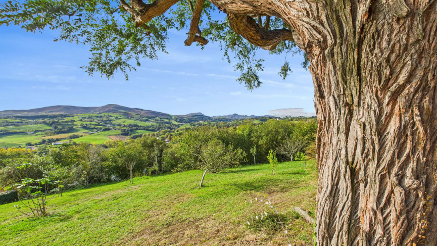 vente Maison Hasparren - Photo 15