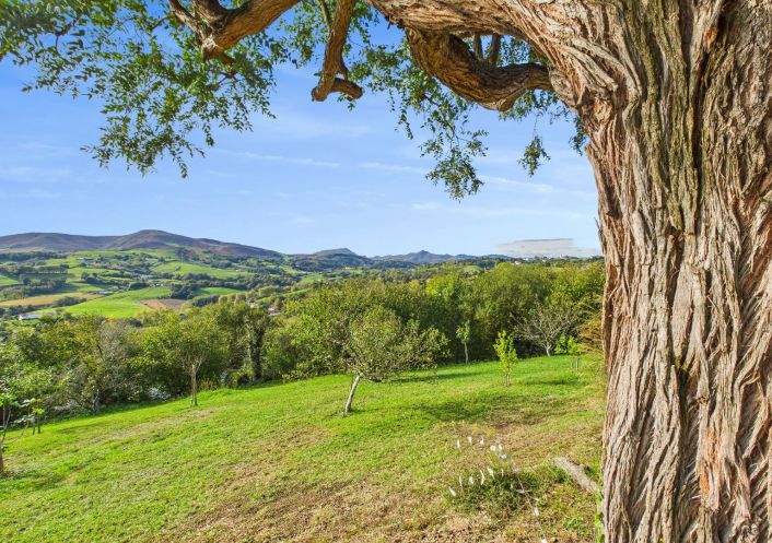 à vendre Maison Hasparren