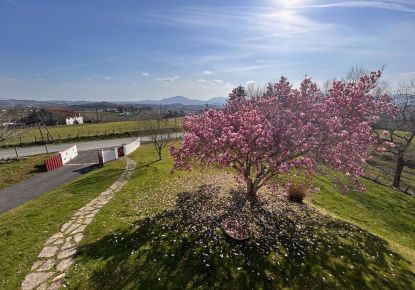 vente Maison Ustaritz