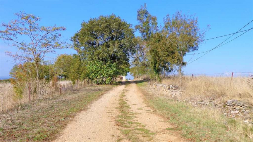 sale Domaine Saint Antonin Noble Val - Photo 12