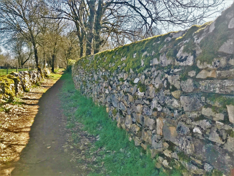 vente Maison Saint Antonin Noble Val - Photo 17