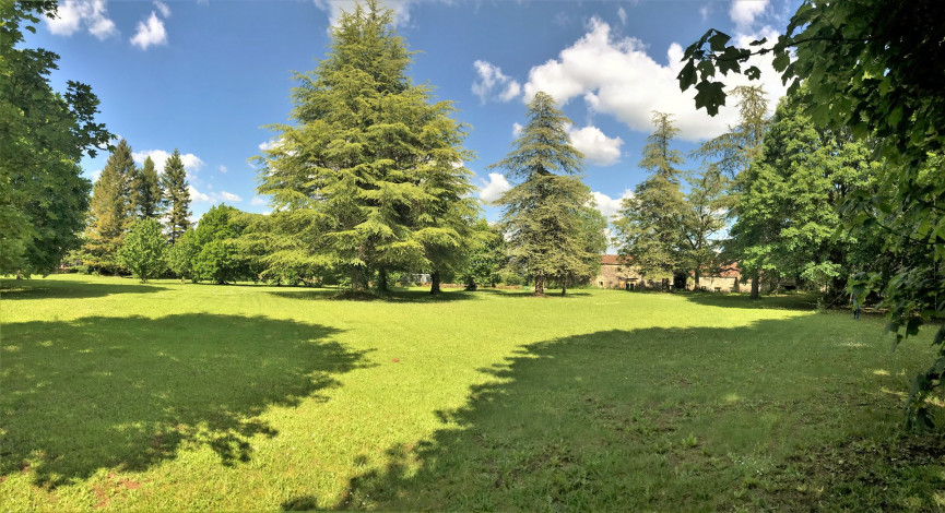 vente Château Saint Antonin Noble Val - Photo 8