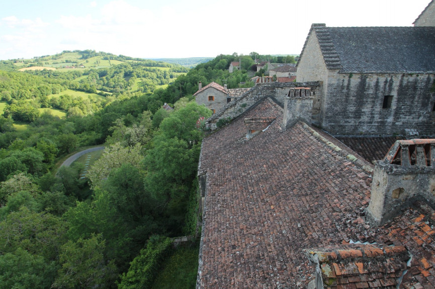 vente Château Saint Antonin Noble Val - Photo 18