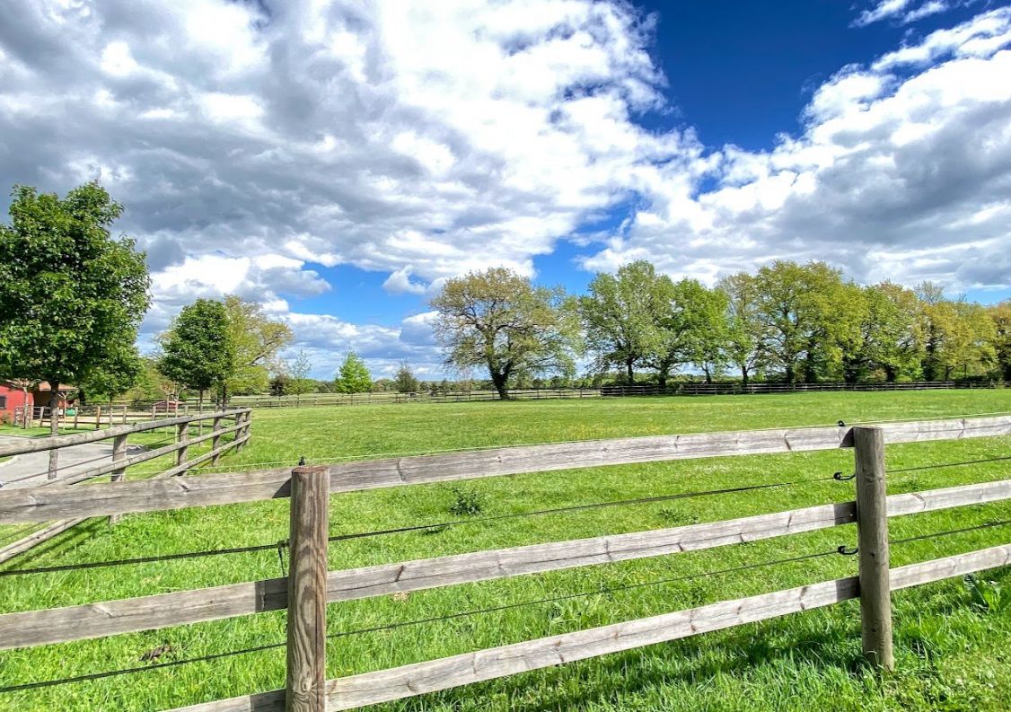 vente Haras / equestre Montauban