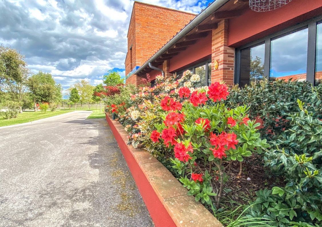 vente Haras / equestre Montauban