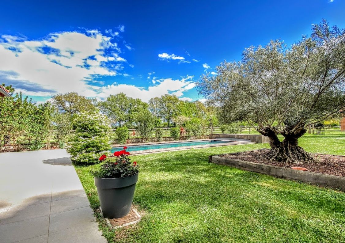 vente Haras / equestre Montauban