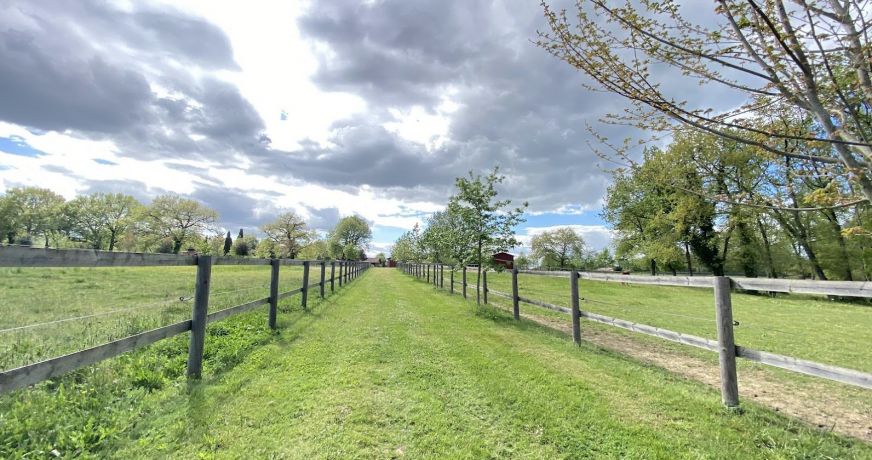 vente Haras / equestre Montauban