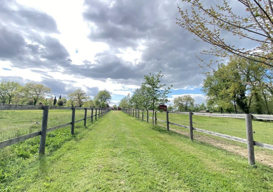vente Haras / equestre Montauban