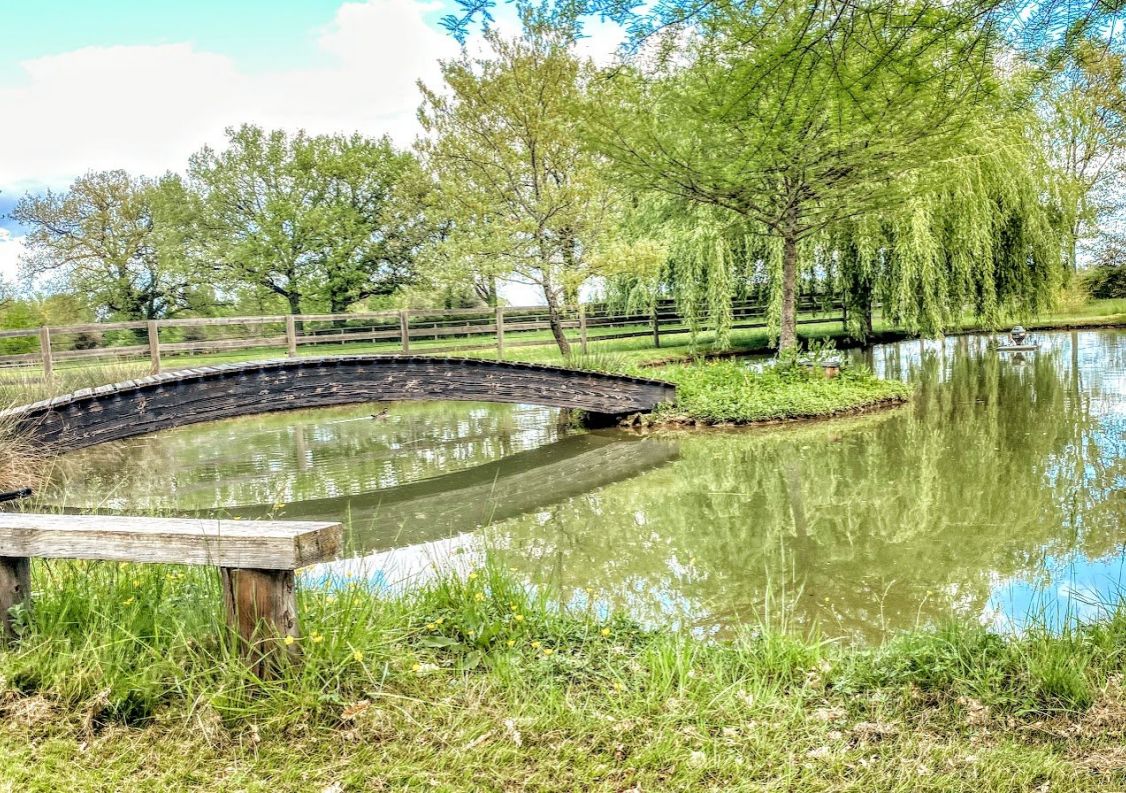 vente Haras / equestre Montauban