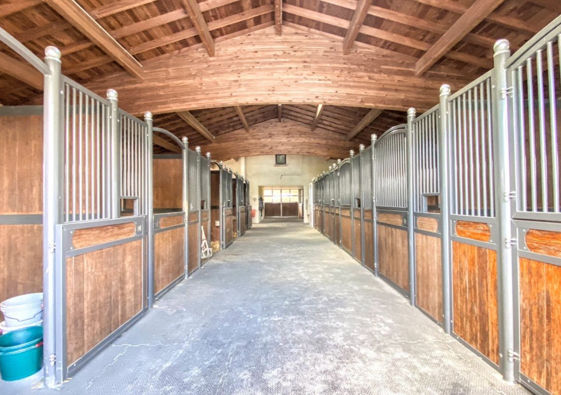 vente Haras / equestre Montauban