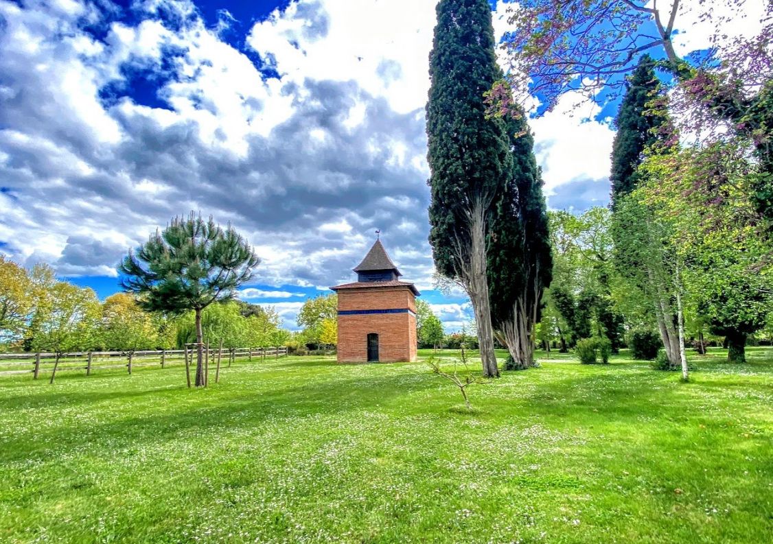 vente Haras / equestre Montauban