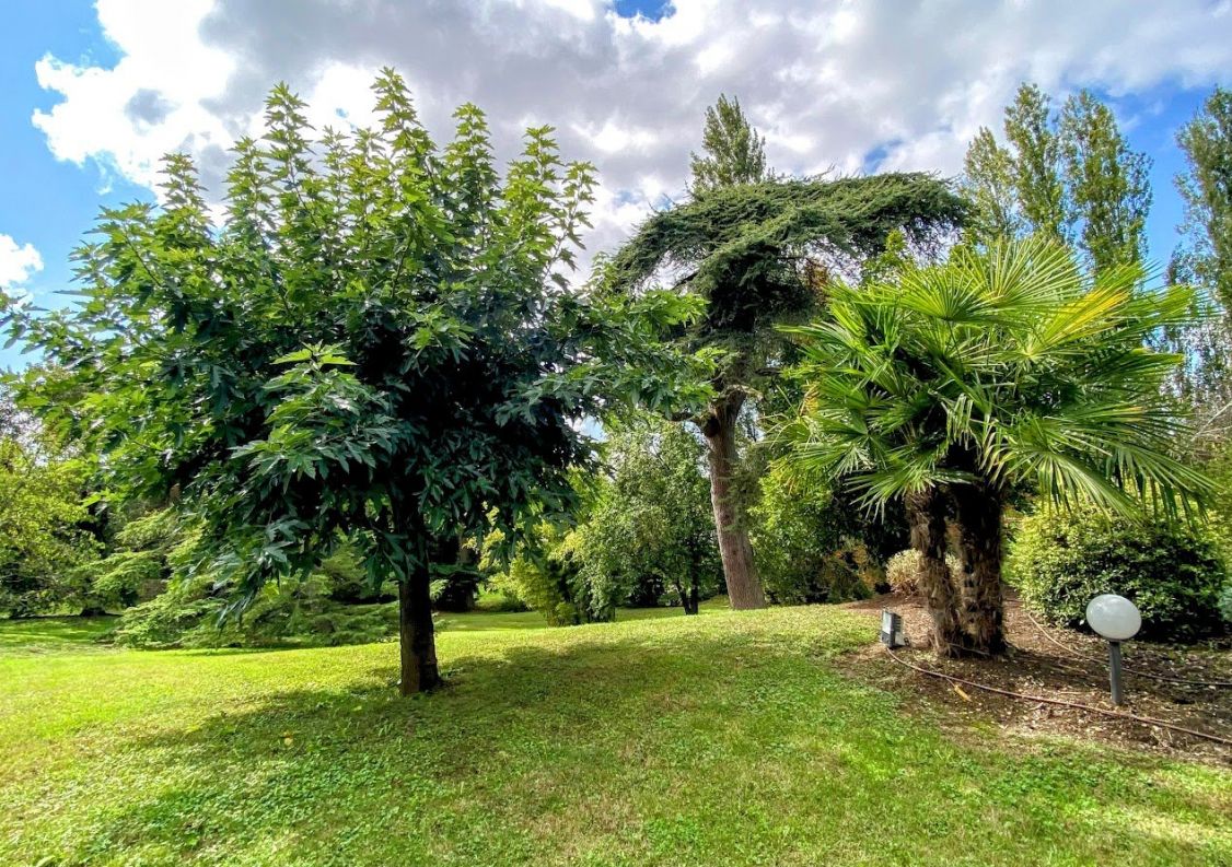 vente Propriété Montauban