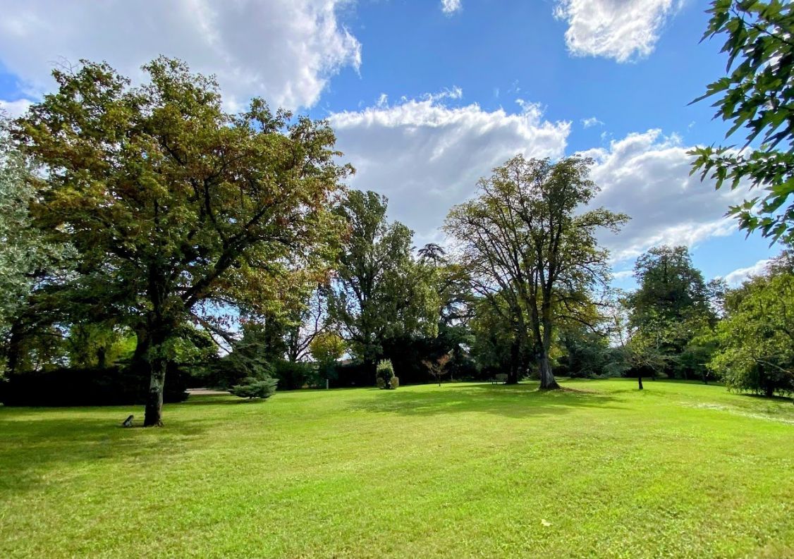 vente Propriété Montauban