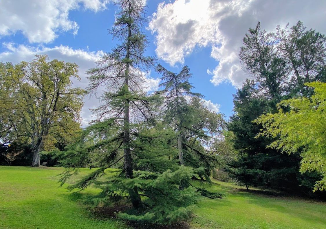 vente Propriété Montauban