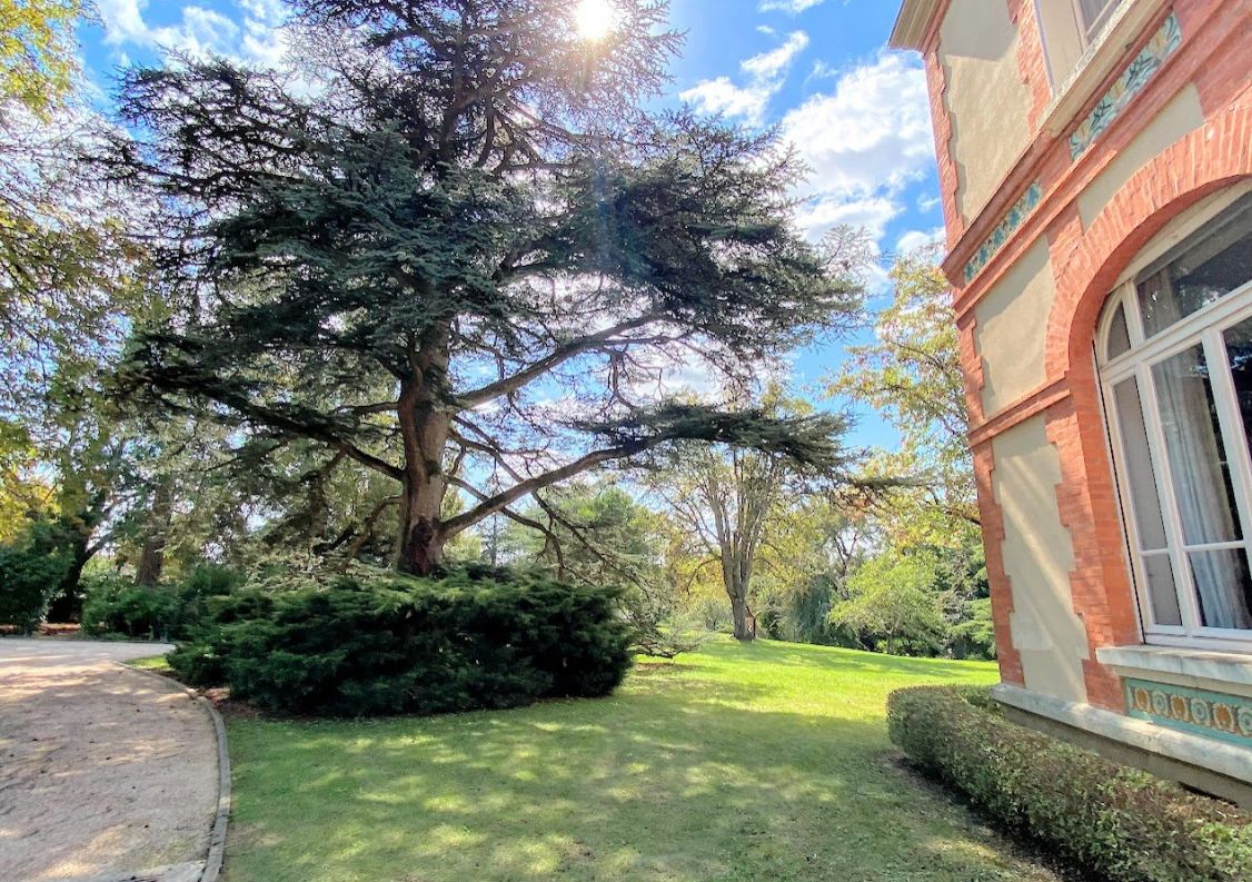 vente Propriété Montauban