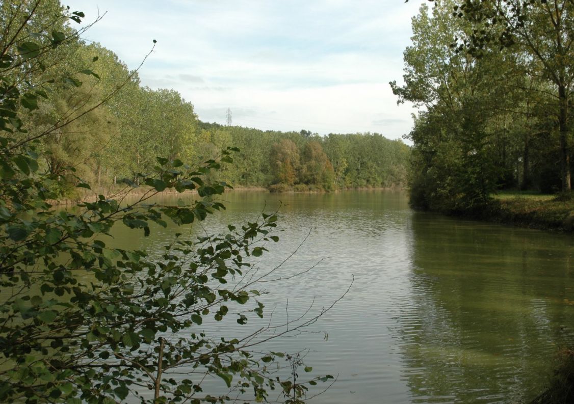 vente Château Montauban