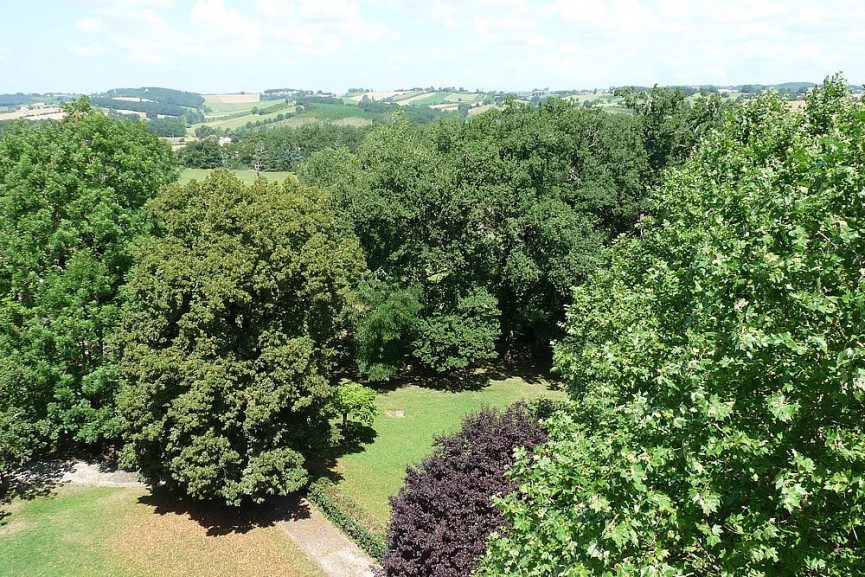 sale Château Montauban - Photo 14