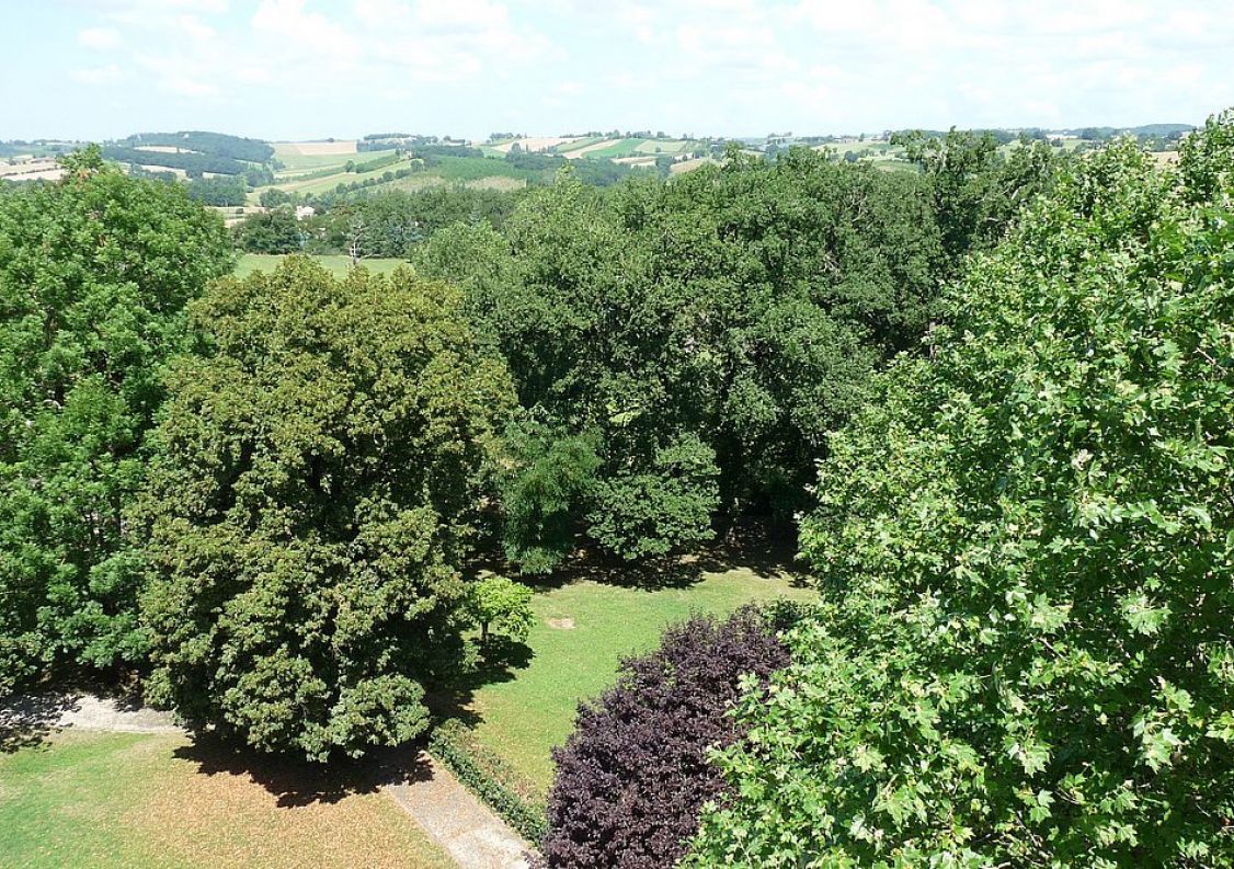 vente Château Montauban