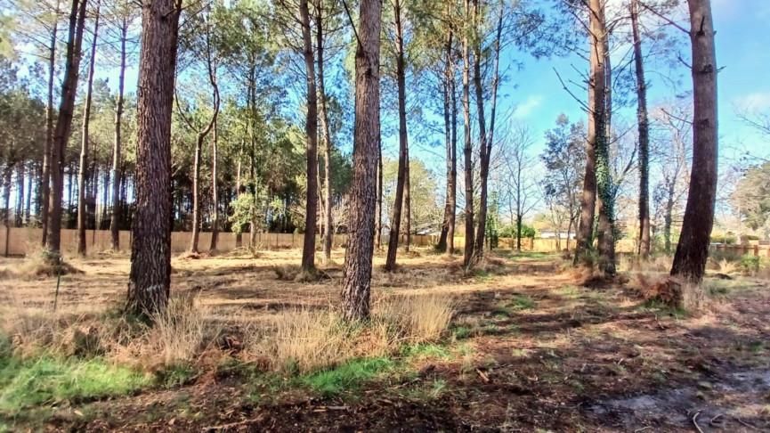 vente Terrain constructible Seignosse - Photo 1